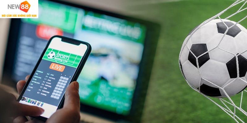 Kèo Dụ - Bật Mí Cách Nhận Biết Dễ Dàng Cho Tân Binh 2 Một số điều cần biết về kèo dụ